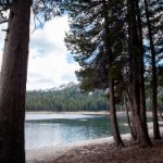 王洪文 刘盆子传 55ixv2mk