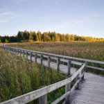 快播日韩新片 856p7kv